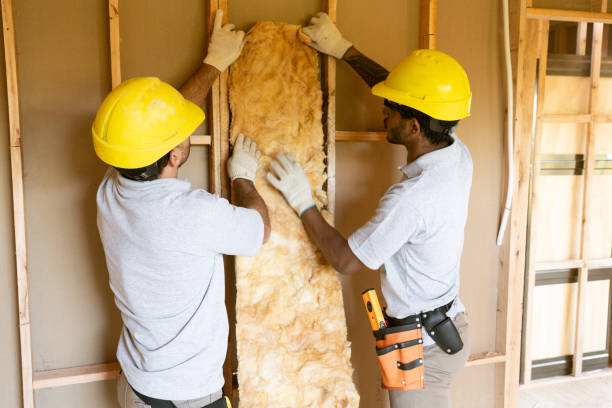 Types of Insulation We Offer in Naples, FL